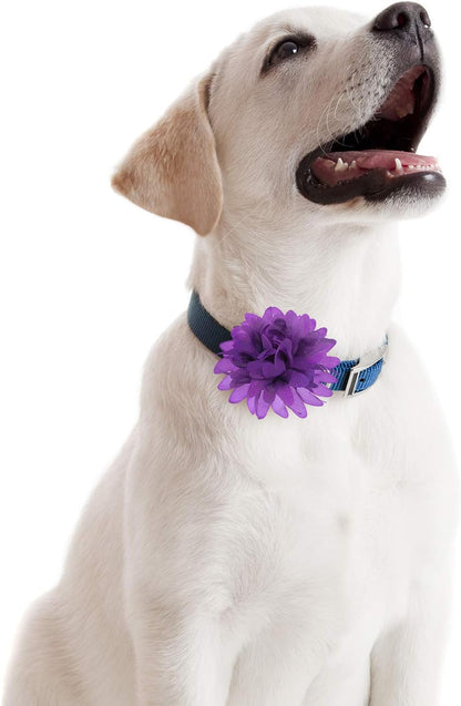 20 Pieces Dog Collar Flowers Pet Flower Bow Ties Multi-Color Dog Charms Flower for Puppy Dog Collar Grooming Accessories (12 Cm/ 4.7 Inch)